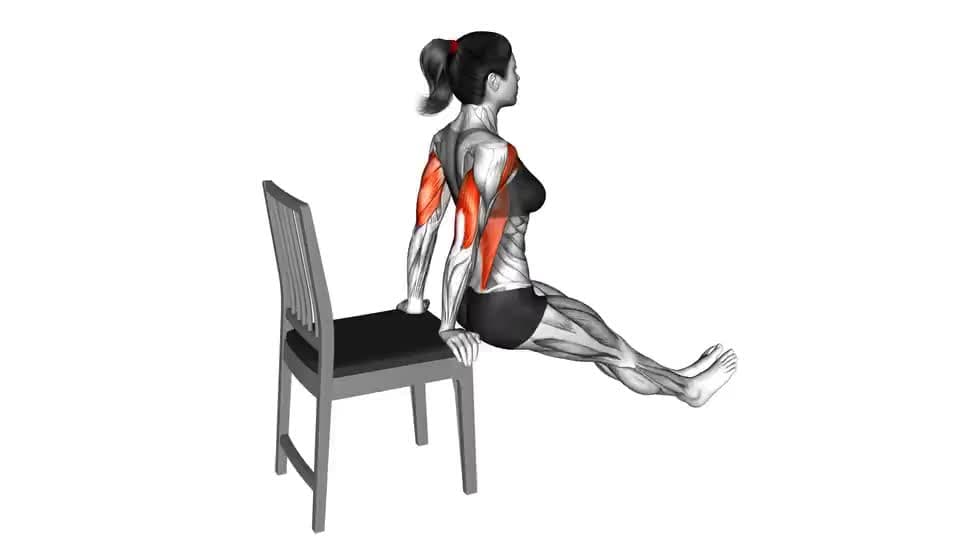 Thumbnail for the video of exercise: Dip on Floor with Chair