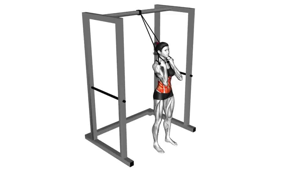 Thumbnail for the video of exercise: बैण्ड स्थायी क्रंच