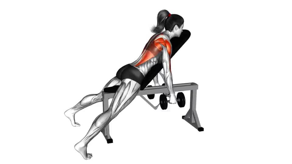 Thumbnail for the video of exercise: Dumbbell Hammer Grip Incline Bank Twee Arm Ry