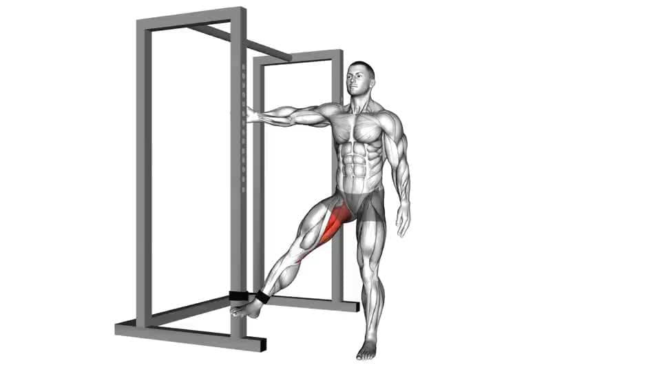 Thumbnail for the video of exercise: ባንድ ሂፕ መደመር