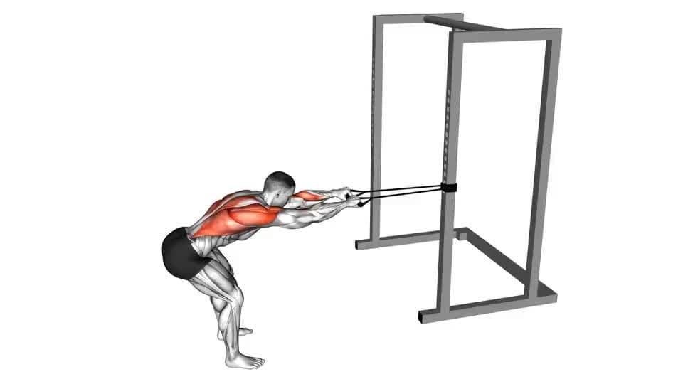 Thumbnail for the video of exercise: Band Bent Over Lat Pulldown