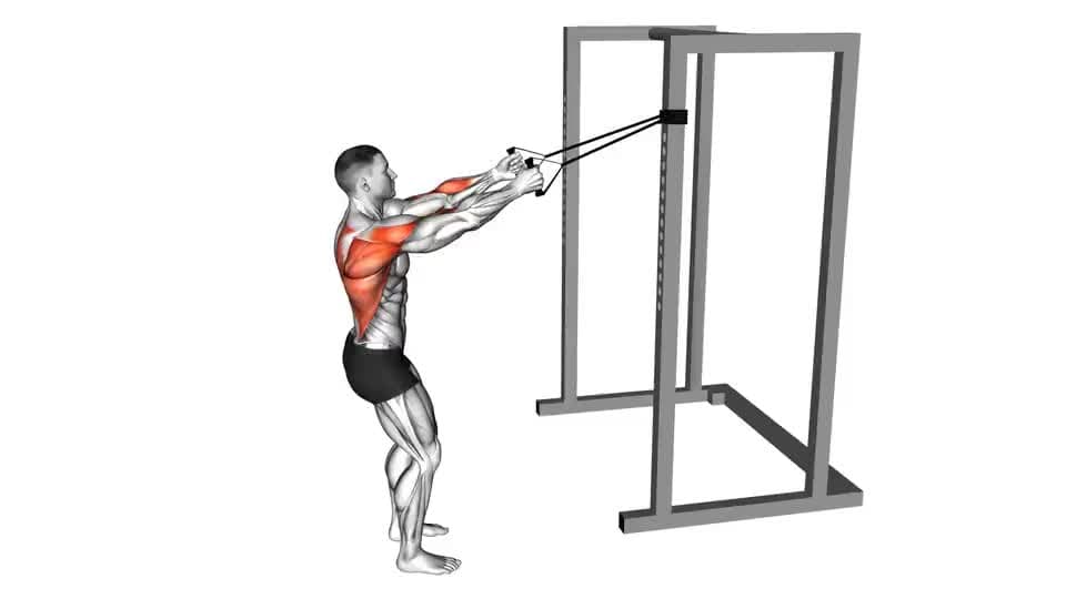 Thumbnail for the video of exercise: Band Narrow Grip High Row