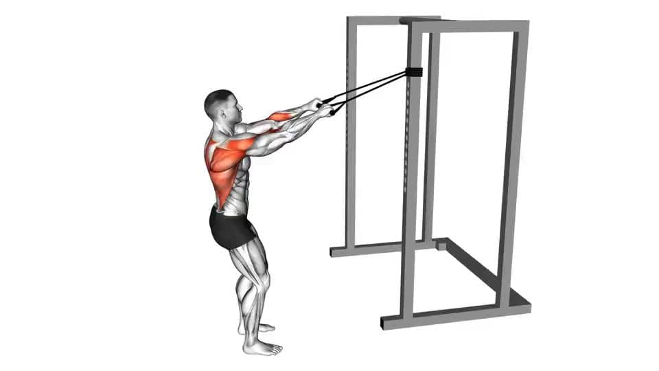 Thumbnail for the video of exercise: Band Narrow Grip High Row