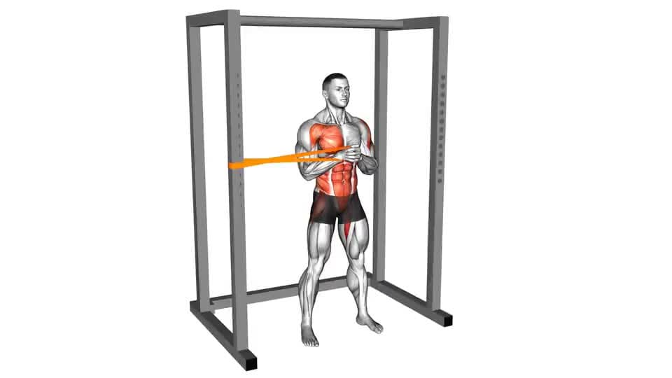 Thumbnail for the video of exercise: Resistance Band Horizontal Pallof Press