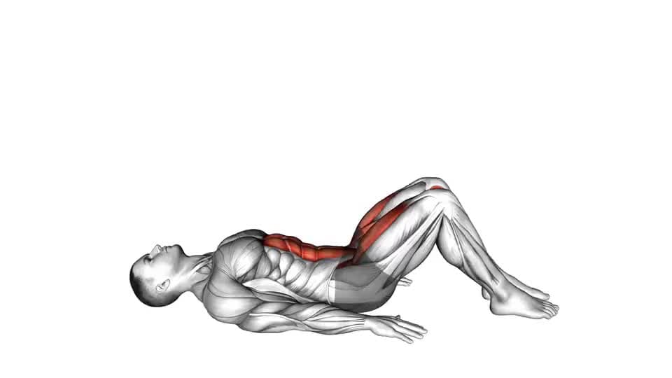Thumbnail for the video of exercise: Lying Leg Raise