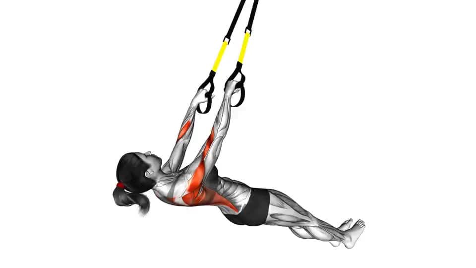 Thumbnail for the video of exercise: Suspender Wide Grip Inverted Row on floor