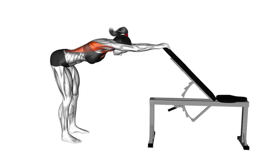 Thumbnail for the video of exercise: پوئتي پيڪ اسٽريچ