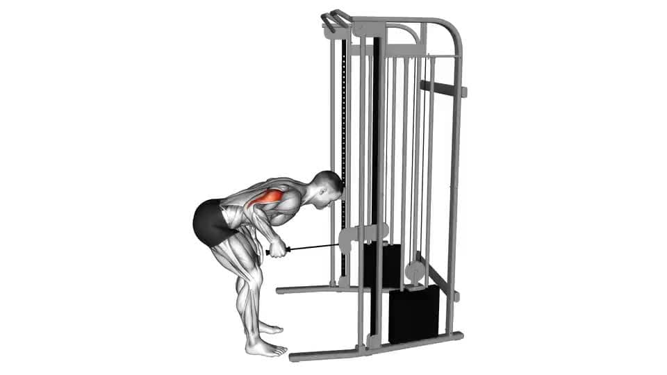 Thumbnail for the video of exercise: କେବୁଲ୍ ନିରପେକ୍ଷ ଗ୍ରିପ୍ କିକବ୍ୟାକ୍ |