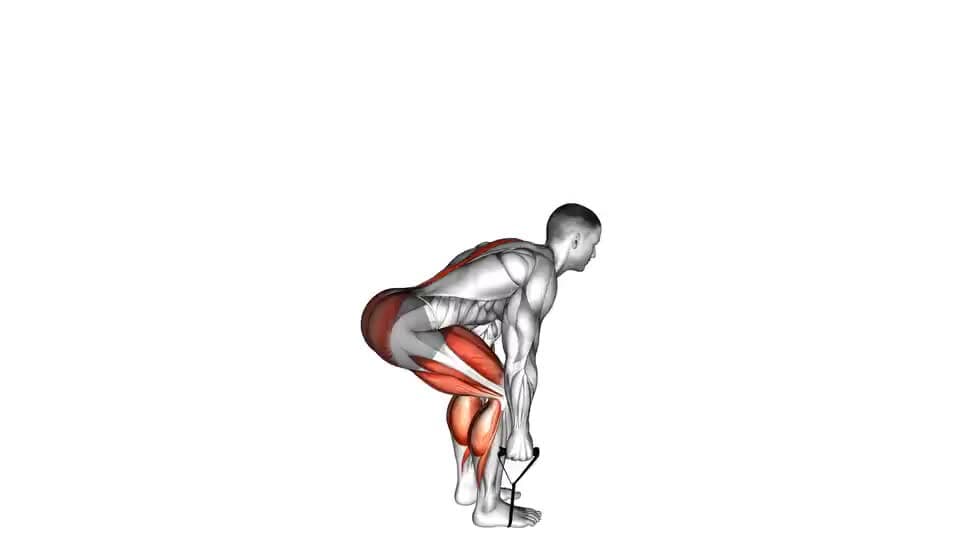 Thumbnail for the video of exercise: Band Deadlift