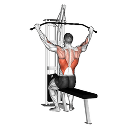 exercise