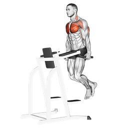 exercise