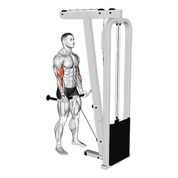 exercise
