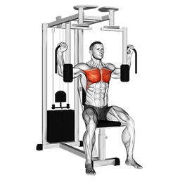 exercise