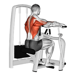 exercise