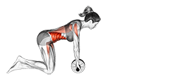 exercise