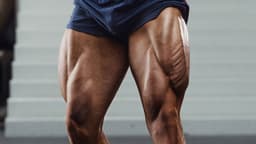 GAMBE E SPALLE