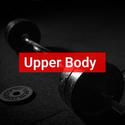 Upper Body