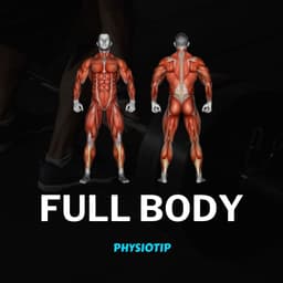 Full Body Workout