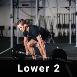 Lower Body 2 + Abs