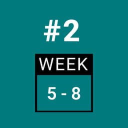 Day 2 - FULL BODY (Week 5-8)
