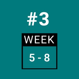 Day 3 - FULL BODY (Week 5-8)