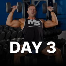 Thursday - Shoulders and Forearms