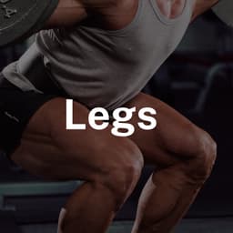 Day 2: Legs