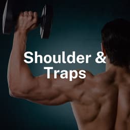 Day 3: Shoulder & Traps