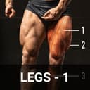 LEGS - 1
