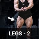 LEGS - 2