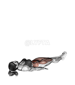 Alterna Kuŝanta Planka Levo demonstration