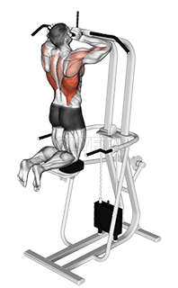 Thumbnail for the video of exercise: Assisted Parallel Close Grip Pull-up