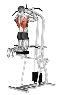 Thumbnail for the video of exercise: Assisted Pull-up