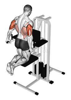 Thumbnail for the video of exercise: Assisted Triceps Dip