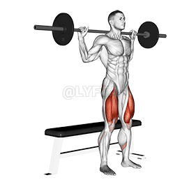 Barbell Bench Okukuba enduulu demonstration