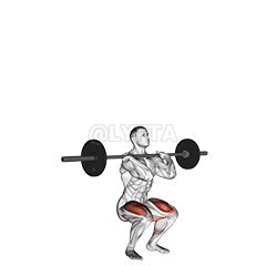 Barbell Clean-grip Front Squat demonstration