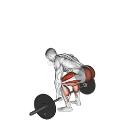Image of Deadlift