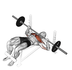Image of Decline Bench Press