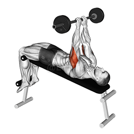 Refuser la prise serrée sur la presse du crâne demonstration