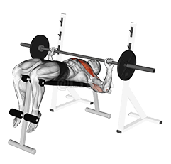 Barbell Decline Amawulire agakwata ennyo demonstration