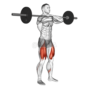 Image of Front Squat