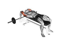 Extension des triceps couchée à prise rapprochée demonstration