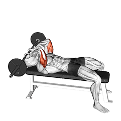 Image of Barbell Lying Triceps Extension Skull Crusher
