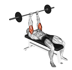 Extension des triceps couchés avec haltères demonstration