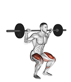 Barbell Narrow Stance Squat demonstration