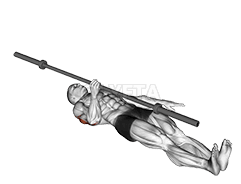 Barbell One Arm Floor Press demonstration