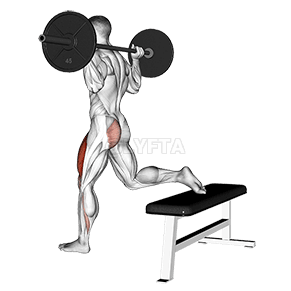 Squat sur une jambe demonstration