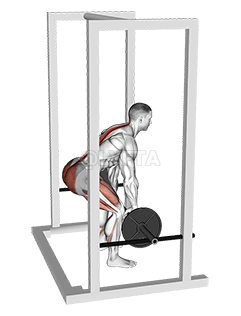 Tirare per Rack Barbell demonstration