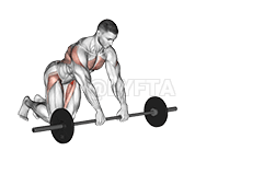 Barbell ƒe Ʋuʋu demonstration