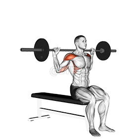 Barbell assis derrière la tête de presse militaire demonstration